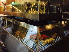 -半岛太子酒家(海港城店)