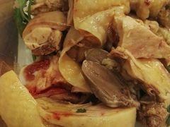 -九斤黄三黄鸡专卖店