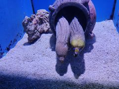 -大连老虎滩海洋公园