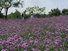 -厦门园林博览苑