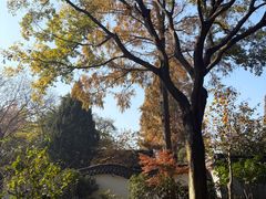 -绮园景区