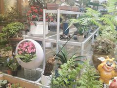 -双季花艺园艺市场(浦东店)