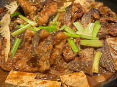 -老板恋上鱼(振华商厦店)