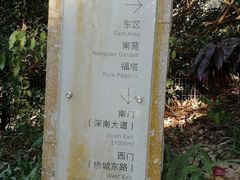 -深圳国际园林花卉博览园