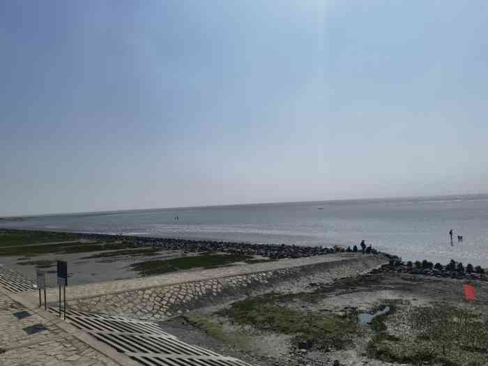 南汇新城海滩-"位于上海最东边的临港海滩,不收费,就是有.