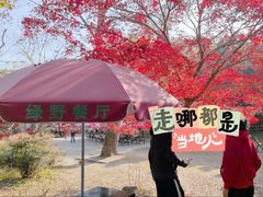 -绿野餐厅(上海动物园店)