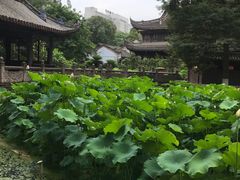 -宝光寺