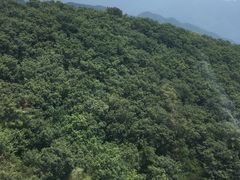 -牛背梁国家森林公园