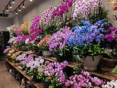 -双季花艺园艺市场(浦东店)