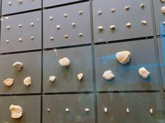 -北京周口店北京人遗址博物馆
