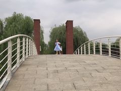 -石家庄市植物园