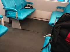 -龙阳路磁悬浮列车总站-停车场