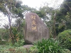 -福建鲤鱼洲酒店