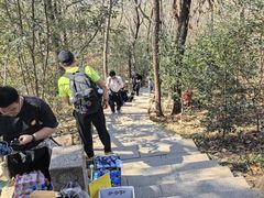 -宝岩生态观光园