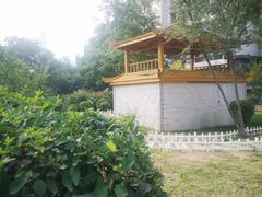-青唐城遗址公园