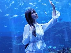 -海合安成都极地海洋公园