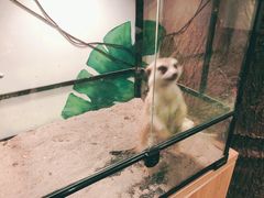 -藦茜花园宠物主题亲子互动体验馆(国顺东路店)