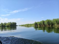 -白洋淀景区