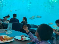 -瑞德姆美人鱼海底演艺主题餐厅(亚龙湾店)