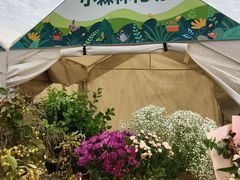 -北京西山国家森林公园