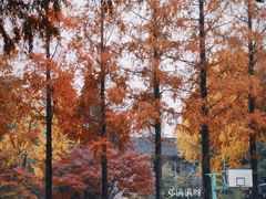 -苏州大学(天赐庄校区)