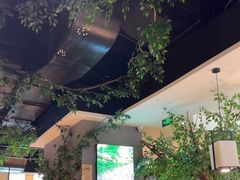 -菌彩云南野生菌火锅(万达广场店)