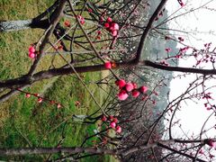 iphone_upload_pic-林屋洞景区