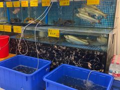 -渔意楼·驰名沙田乳鸽(五羊店)
