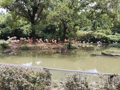 -上海野生动物园