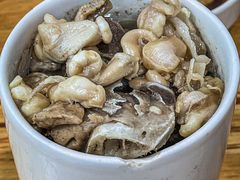 -广达眼镜炖罐(广达店)