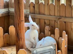 -HERRE·FARM 赫尔露营农场·团建聚会包场