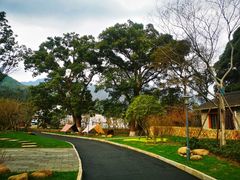 -石台牯牛降景区