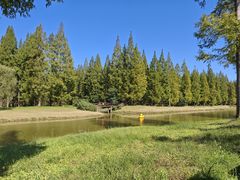 -黄海国家森林公园