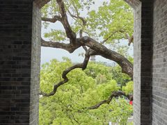 -江心屿景区