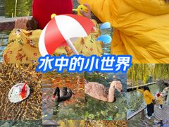 -水磨沟公园