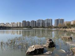 -南翔镇银翔湖公园