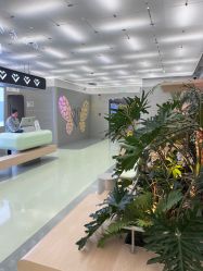 -纯粹医美