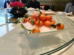 -皇朝尊会(龙之梦大酒店)