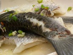蒸鲫鱼-启香鸡私房菜(湖景店)
