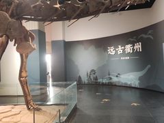 -衢州市博物馆
