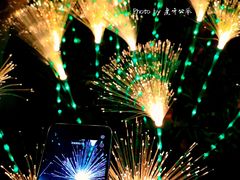 -横店影视城梦幻谷园区