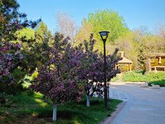 -元大都城垣遗址公园