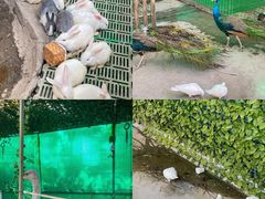 -史努比缤纷世界