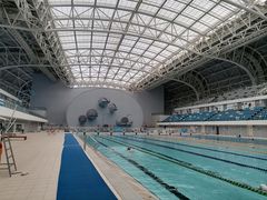 -广西体育中心-游泳馆