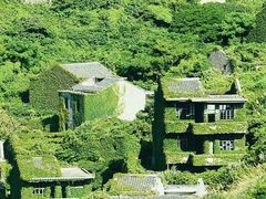 -枸杞岛