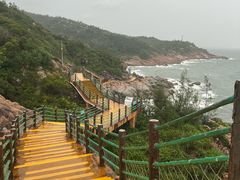 -广东惠东海龟国家级自然保护区