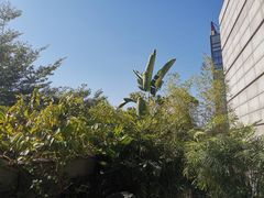 -马家斑.鲜鱼火锅(松湖万科店)