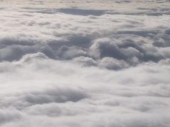 -朱儿面庄(洋河三路店)