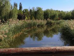 -武清南湖绿博园