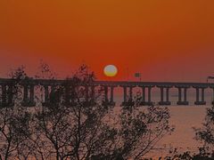 -宝安西湾红树林湿地公园